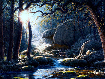 ✫Lake in Forest✫, sunlight, scenery, rays light, animals, scenic, trees, stunning, attractions in dreams, forests, paintings, beautiful, rocks, creative pre-made, love four seasons, lakes, landscapes, wildlife, deer, nature HD wallpaper