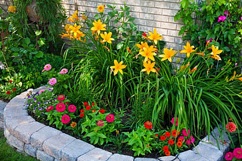 Colorful-Flower-Bed, colorful, flower-bed, beautiful HD wallpaper