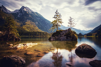 Mountain river, Forest, Trees, Lake, Germany, Pines HD wallpaper