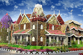 DUBAI FLOWER GARDEN, FLOWER, PRETTY, NATURE, GARDEN HD wallpaper
