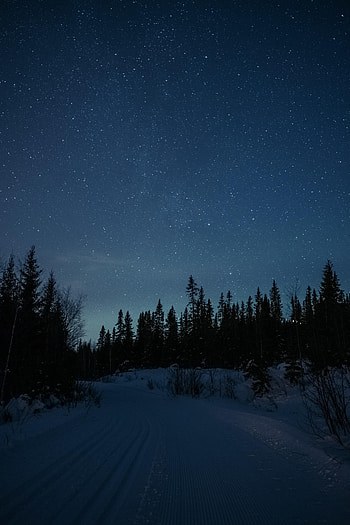 Winter, Nature, Stars, Night, Snow, Road, Forest HD phone wallpaper