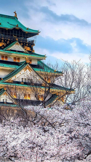 Cherry Blossoms Temple Architecture 6 HD phone wallpaper