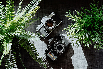 Plants, Objective, Technologies, Technology, Cameras HD wallpaper
