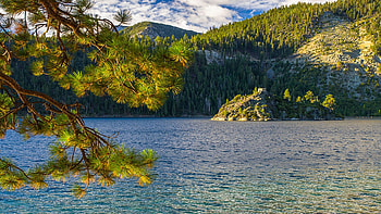 Emerald Bay And Fannette Island, Lake Tahoe, california, landscape, trees, water, usa HD wallpaper