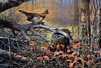 Partridge, leaves, woods, log, fall HD wallpaper