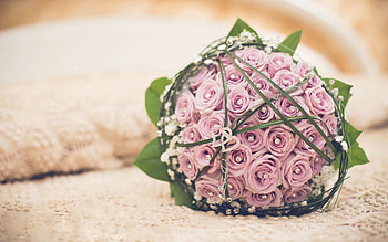 Flowers, Registration, Typography, Bouquet, Handsomely, It's Beautiful, Festive HD wallpaper