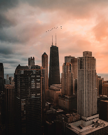 Cities, Birds, Architecture, City, Skyscraper, Building, Evening HD phone wallpaper