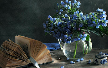 Still life, vase, decoration, flower HD wallpaper