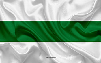 Flag of Warnes, , silk texture, Warnes, Bolivian city, Warnes flag, Bolivia HD wallpaper