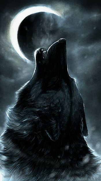 Cool wolf X , quality, Trendy design, Stylish aesthetic HD phone wallpaper