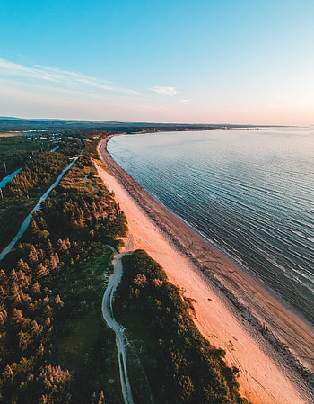 Nature, Trees, Sea, Sand, Horizon, Coast, Dahl, Distance HD phone wallpaper