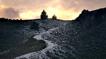 Hill Slope With Snow Bushes Trail Trees During Sunset In Silhouette Background Nature HD wallpaper