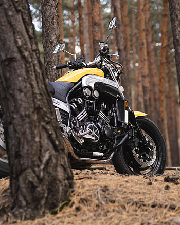 Motorcycles, Yamaha, Back View, Rear View, Motorcycle, Bike, Motor HD phone wallpaper