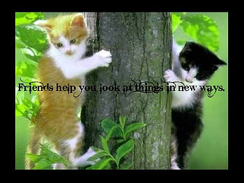 Friends Help, cats, trees, friends, animals HD wallpaper