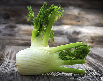 Fennel vs anise, Similar taste profiles, Distinct differences, Culinary debate HD wallpaper