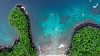 Coast, green cliffs, aerial view, beach, nature HD wallpaper
