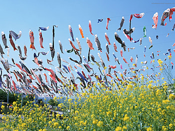 Artificial Hanging Fish, japan, hanging, artificial, nature, fish HD wallpaper