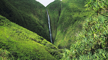 Molokai Island, Molokai , Top , Molokai backgrounds HD wallpaper