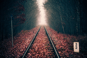 Rails, Nature, Autumn, Forest, Foliage, Dahl, Distance, Railway HD wallpaper
