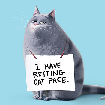 Chloe The Secret Life Of Pets, the-secret-life-of-pets, movies, animated-movies, cartoons, 2016-movies HD wallpaper