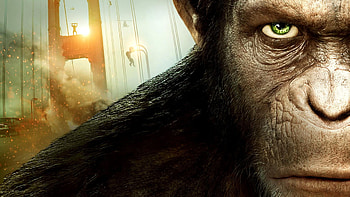 rise of the planet of the apes, Planet of the Apes HD wallpaper