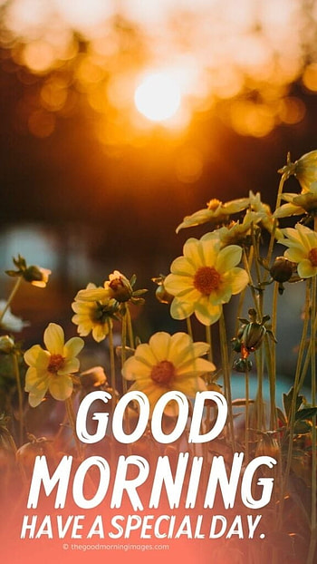 Good Morning, Beautiful Flowers HD phone wallpaper