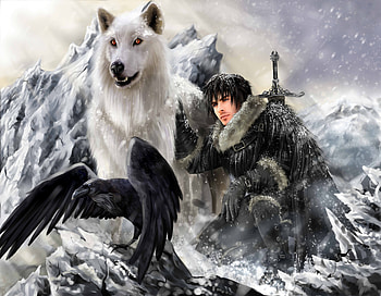 Fantasy Warrior, raven, sword, wolf, fabulous HD wallpaper