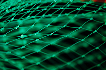 Texture, Textures, Grid, Plexus HD wallpaper