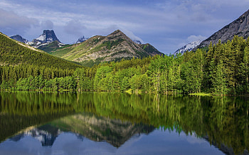 Nature, Trees, Grass, Mountains, Reflection HD wallpaper