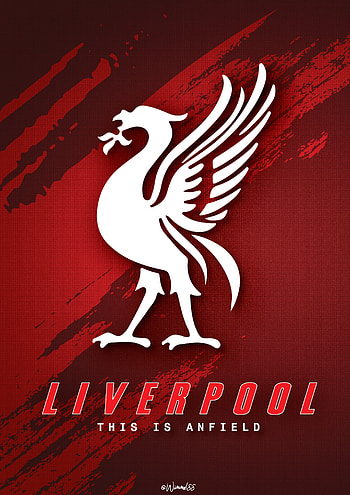 Liverpool , trending, liverpool2021, reds, salah, ynwa, henderson, thisisanfield, firmino, flamigo HD phone wallpaper