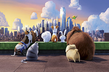 movie, The Secret Life of Pets HD wallpaper