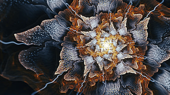 Floral, pattern, fractal, digital art HD wallpaper