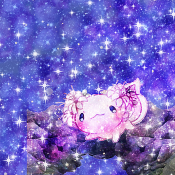 Axolotl, cute HD phone wallpaper