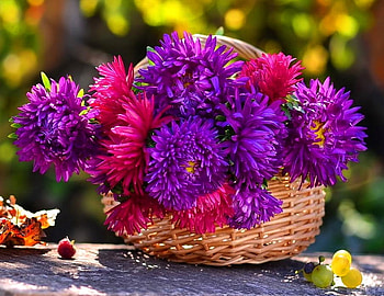 Basket with fresh flowers, Flowers, Leaves, Fruits, Basket HD wallpaper