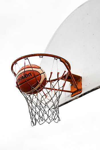Sports, Basketball, Shield, Ball, Basketball Hoop, Basketball Ring, Basketball Net, Basketball Grid HD phone wallpaper
