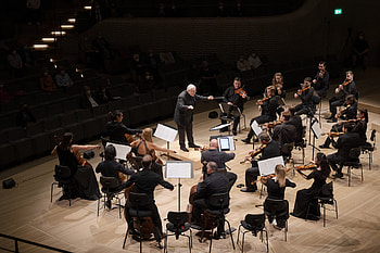 Geringas chamber orchestra, Sublime performances, Chamber music, Masterful musicians HD wallpaper