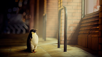 Penguin Hope, penguins, birds HD wallpaper