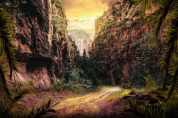 Canyon, forest, mountains, valley, pathway HD wallpaper