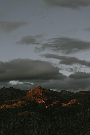 Nature, Cactuses, Mountains, Vertex, Tops, Mainly Cloudy, Overcast HD phone wallpaper
