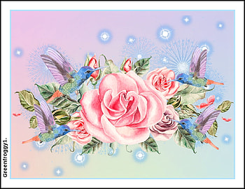 HUMMINGBIRD AND ROSES, FLOWERS, HUMMINGBIRDS, ABSTRACT HD wallpaper
