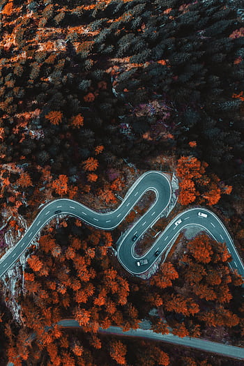 A stunning aerial view of a winding road through a forest in Bregaglia, Switzerland. HD phone wallpaper
