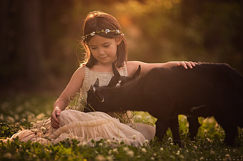 Little Girl, Summer, Goat, Friendship, Wreath HD wallpaper