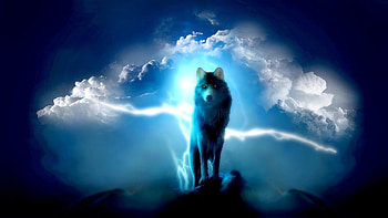 For > Lone Wolf HD wallpaper