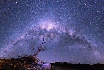 Stars, Nature, Sky, Night, Wood, Tree, Starry Sky HD wallpaper