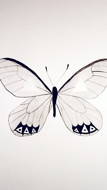 White Butterfly, Wonderful, Aesthetic HD phone wallpaper