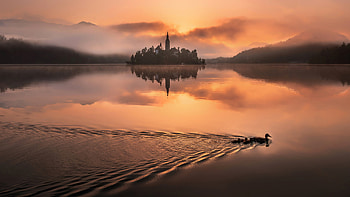 Assumption of Mary Church Lake Bled Slovenia During Sunrise Nature HD wallpaper