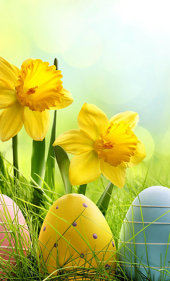 Whimsical Easter egg, 6 , Vibrant colors, Playful celebration HD phone wallpaper