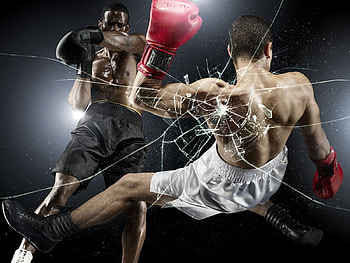 Sports, People, Men, Boxing HD wallpaper