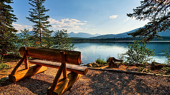 Nature, Trees, Lake, Shore, Bank, Bench, Logs HD wallpaper