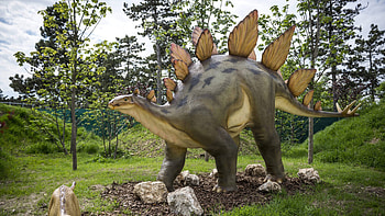 Man en zoon stuiten, Op lichaam in beeld, Dinosaurus nos news, Envrionmental discovery HD wallpaper